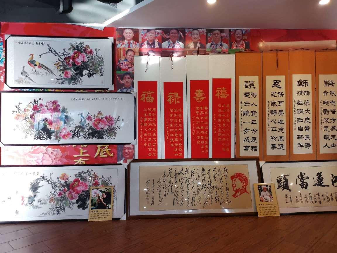 探探猫之飞天萌猫